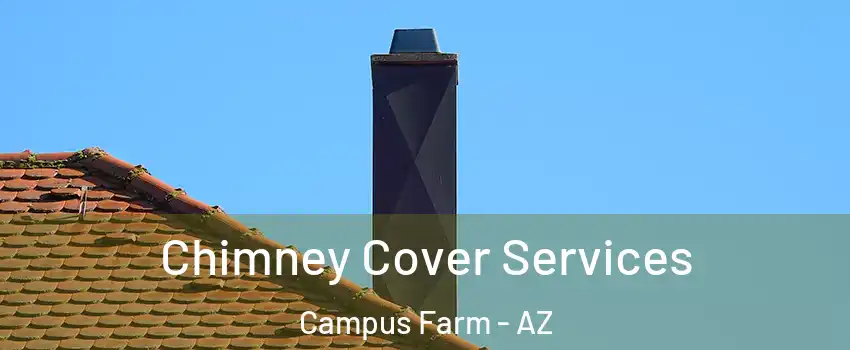 Chimney Cover Services Campus Farm - AZ