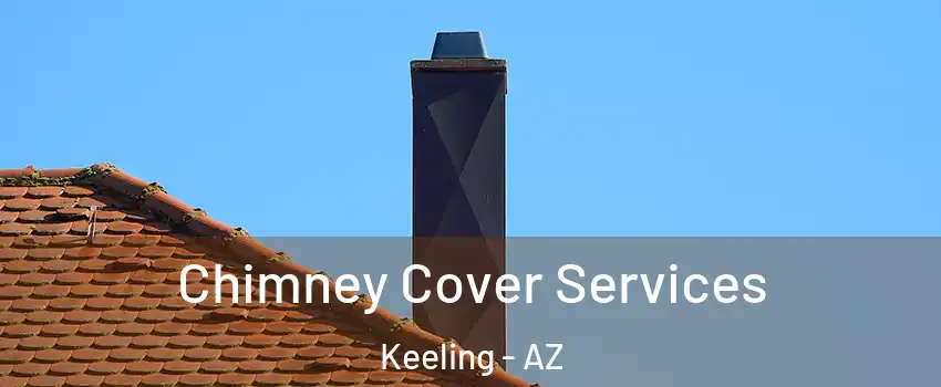 Chimney Cover Services Keeling - AZ