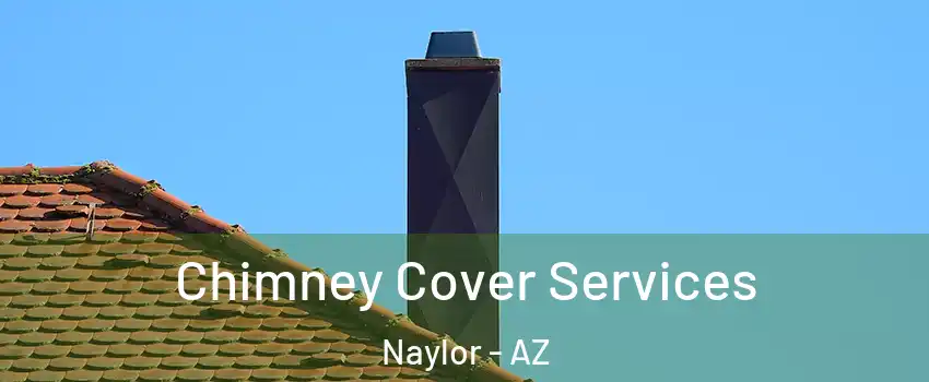 Chimney Cover Services Naylor - AZ