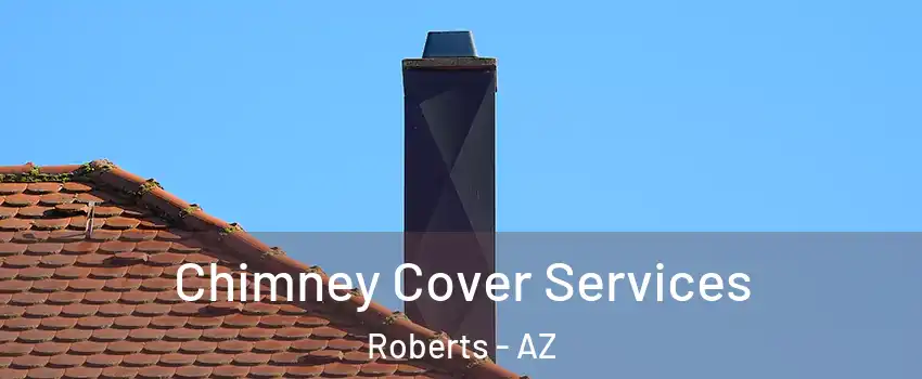 Chimney Cover Services Roberts - AZ