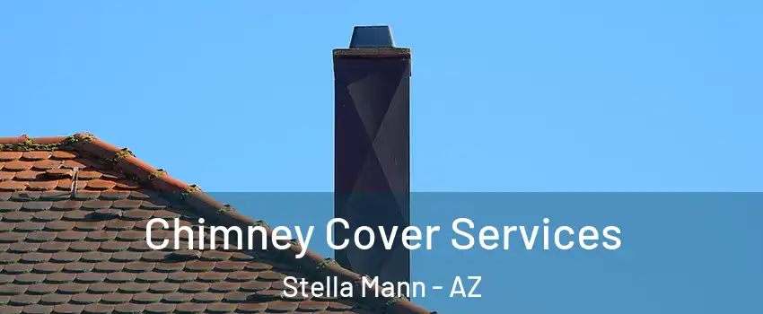 Chimney Cover Services Stella Mann - AZ