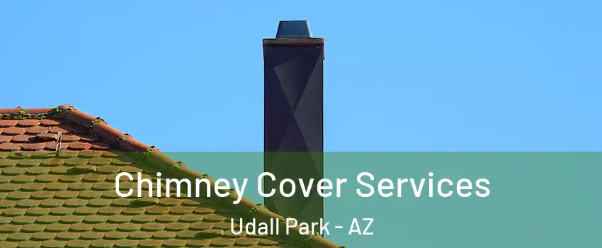Chimney Cover Services Udall Park - AZ