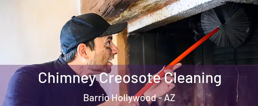 Chimney Creosote Cleaning Barrio Hollywood - AZ