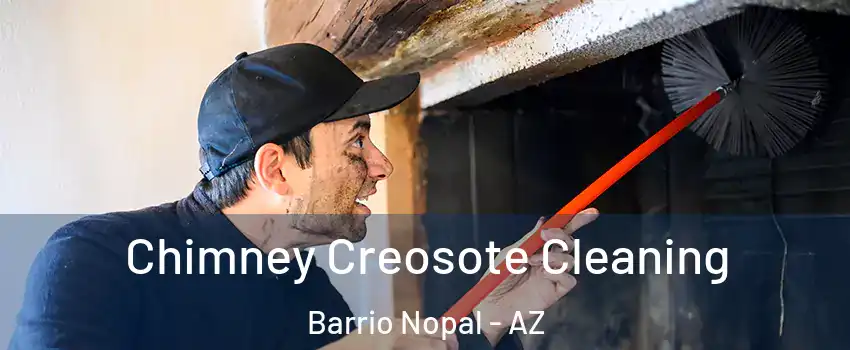 Chimney Creosote Cleaning Barrio Nopal - AZ