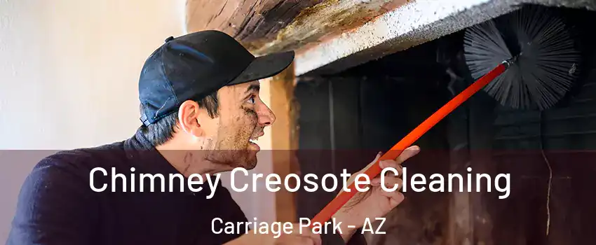 Chimney Creosote Cleaning Carriage Park - AZ