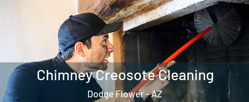 Chimney Creosote Cleaning Dodge Flower - AZ