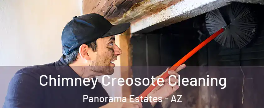 Chimney Creosote Cleaning Panorama Estates - AZ