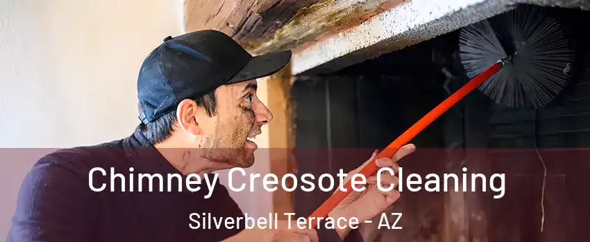 Chimney Creosote Cleaning Silverbell Terrace - AZ