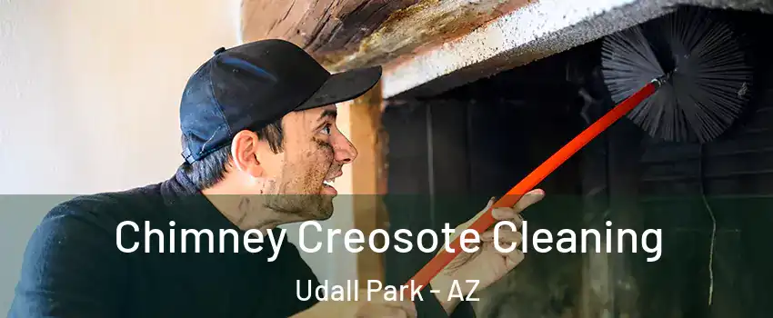 Chimney Creosote Cleaning Udall Park - AZ