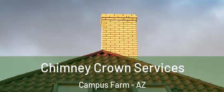 Chimney Crown Services Campus Farm - AZ