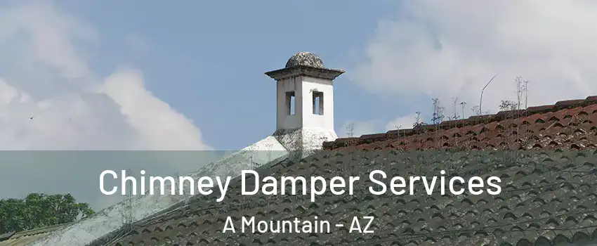 Chimney Damper Services A Mountain - AZ