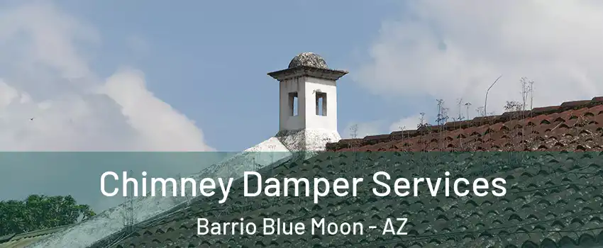 Chimney Damper Services Barrio Blue Moon - AZ