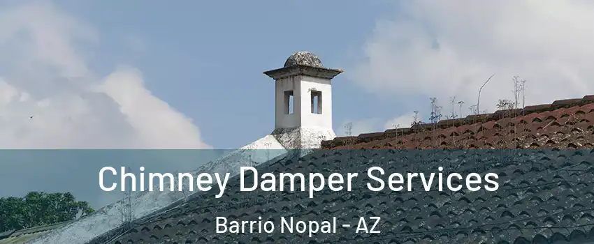 Chimney Damper Services Barrio Nopal - AZ