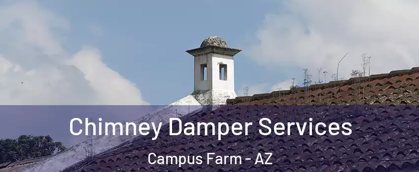 Chimney Damper Services Campus Farm - AZ