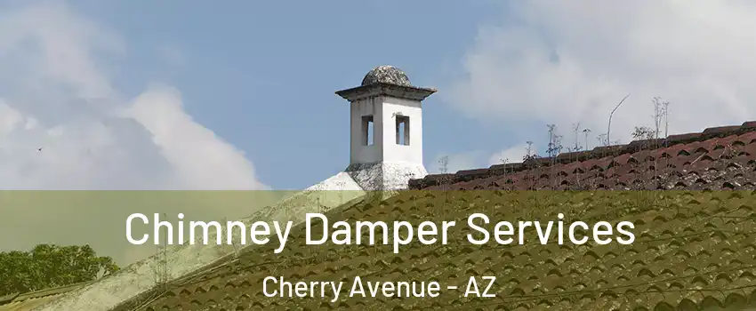 Chimney Damper Services Cherry Avenue - AZ
