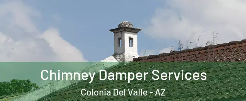 Chimney Damper Services Colonia Del Valle - AZ