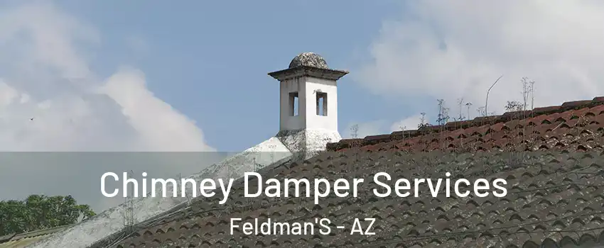 Chimney Damper Services Feldman'S - AZ