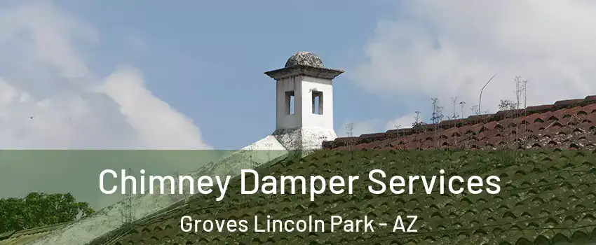 Chimney Damper Services Groves Lincoln Park - AZ