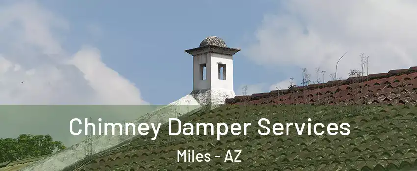 Chimney Damper Services Miles - AZ