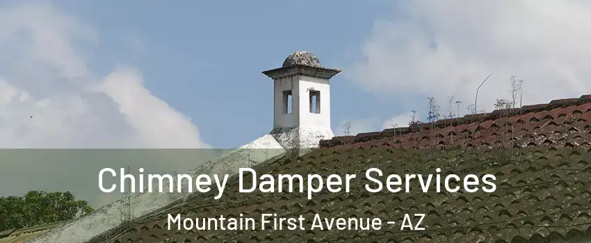 Chimney Damper Services Mountain First Avenue - AZ