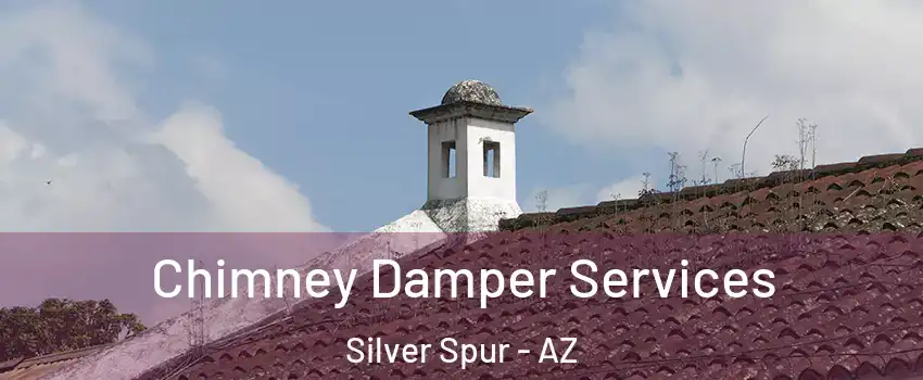 Chimney Damper Services Silver Spur - AZ