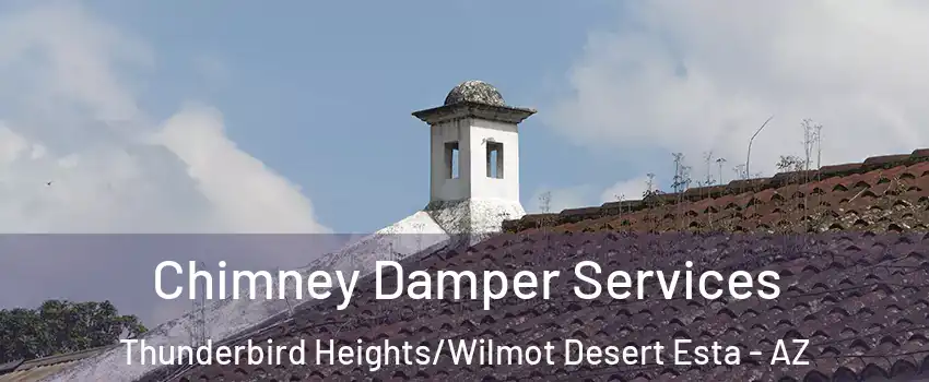Chimney Damper Services Thunderbird Heights/Wilmot Desert Esta - AZ
