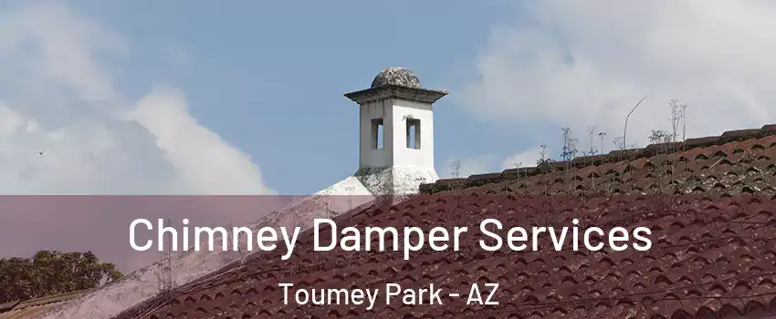 Chimney Damper Services Toumey Park - AZ