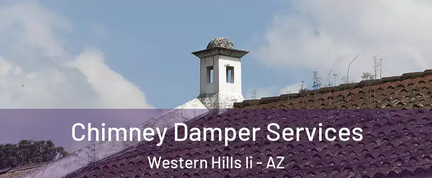 Chimney Damper Services Western Hills Ii - AZ