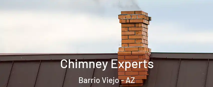 Chimney Experts Barrio Viejo - AZ