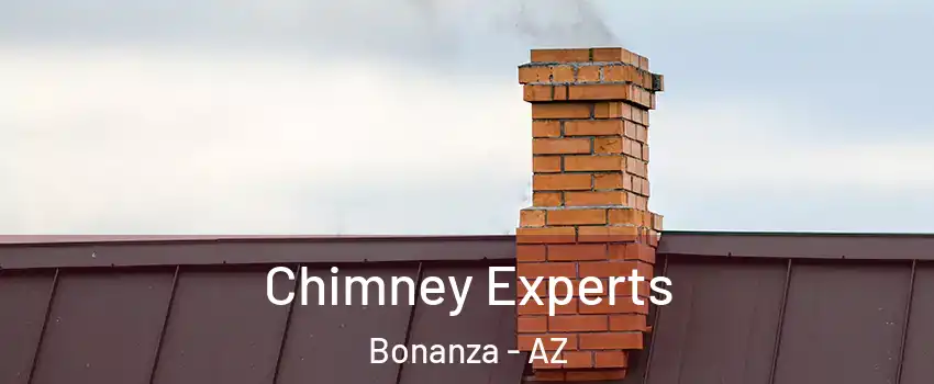 Chimney Experts Bonanza - AZ