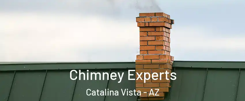 Chimney Experts Catalina Vista - AZ