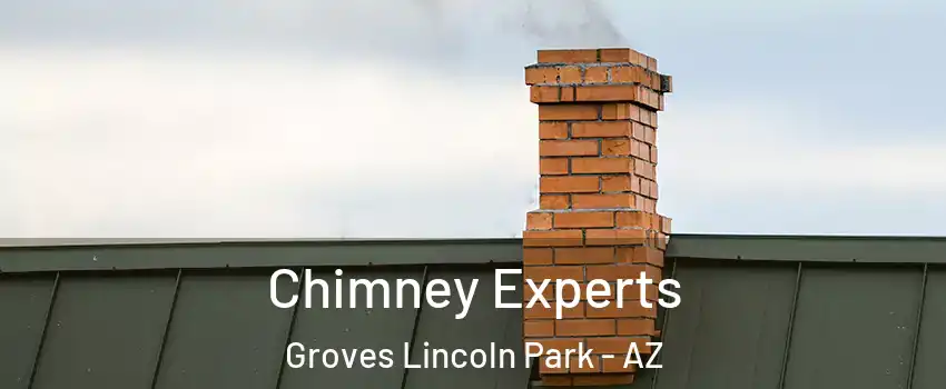 Chimney Experts Groves Lincoln Park - AZ