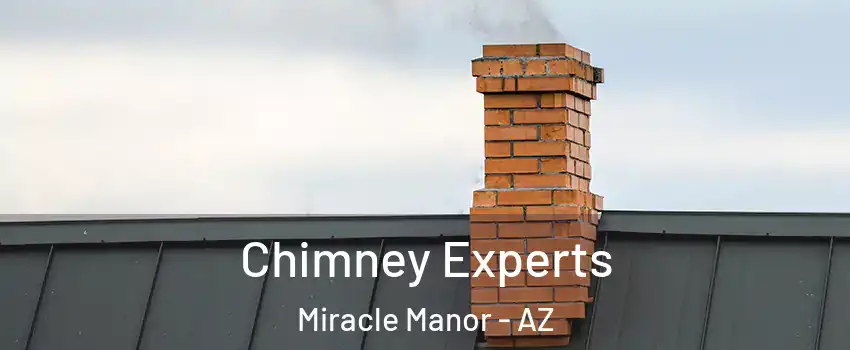 Chimney Experts Miracle Manor - AZ
