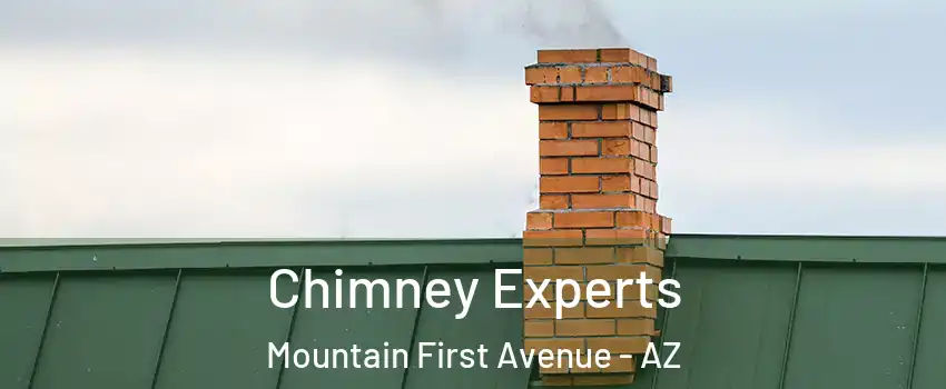 Chimney Experts Mountain First Avenue - AZ