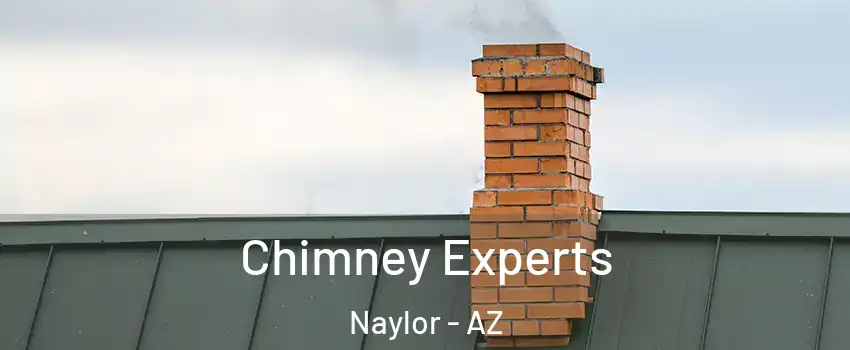 Chimney Experts Naylor - AZ