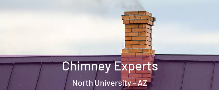 Chimney Experts North University - AZ