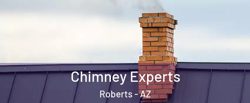 Chimney Experts Roberts - AZ
