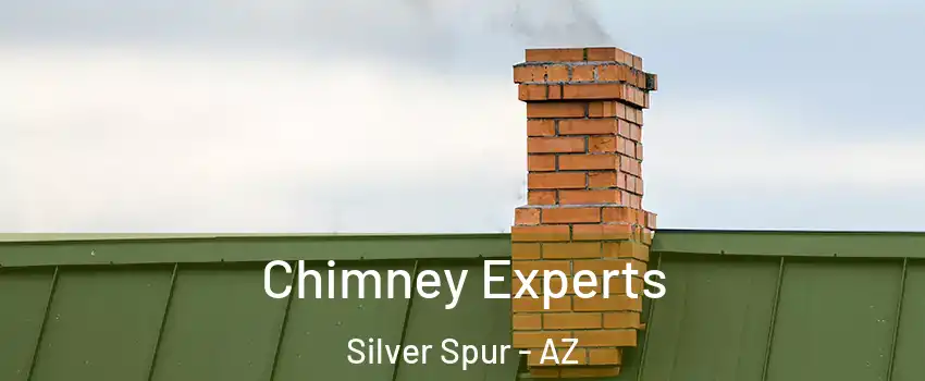 Chimney Experts Silver Spur - AZ