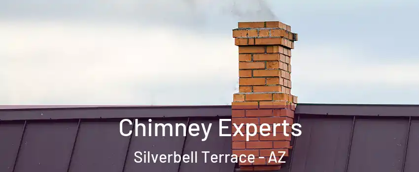 Chimney Experts Silverbell Terrace - AZ