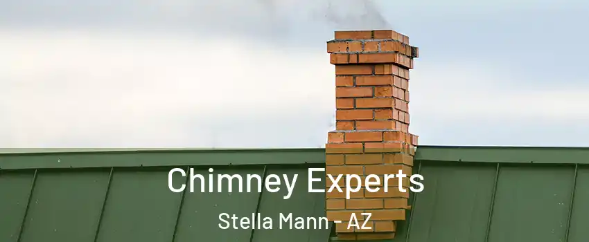 Chimney Experts Stella Mann - AZ