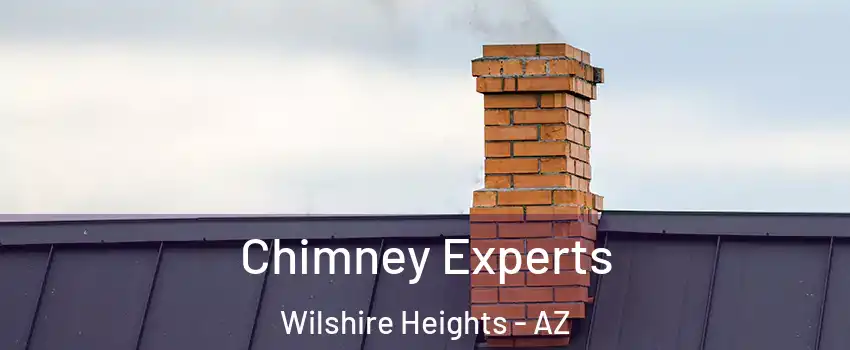 Chimney Experts Wilshire Heights - AZ
