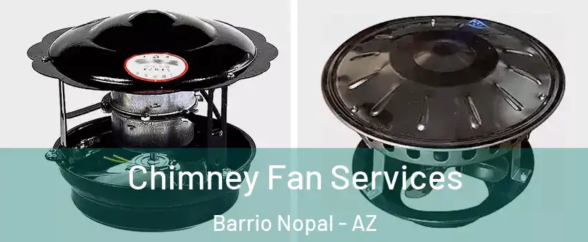 Chimney Fan Services Barrio Nopal - AZ