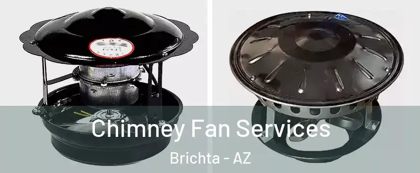 Chimney Fan Services Brichta - AZ