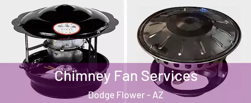 Chimney Fan Services Dodge Flower - AZ