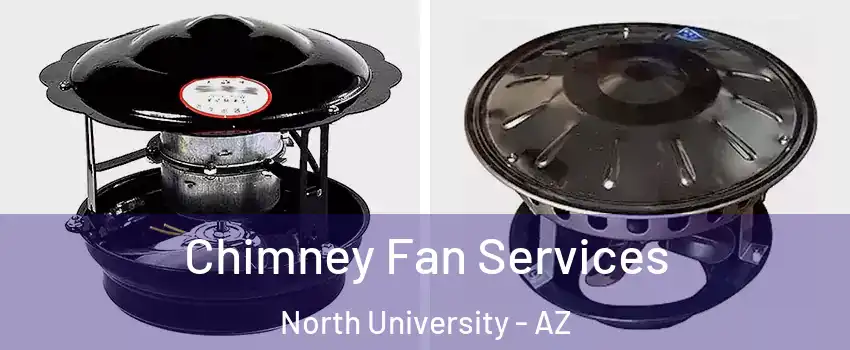Chimney Fan Services North University - AZ