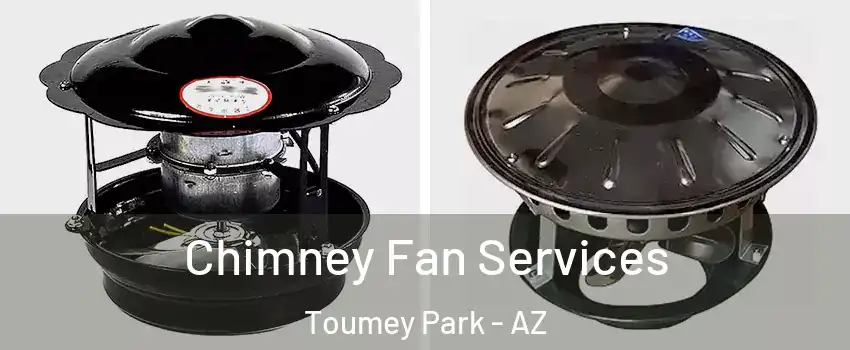Chimney Fan Services Toumey Park - AZ