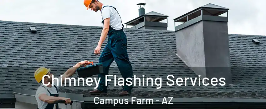 Chimney Flashing Services Campus Farm - AZ