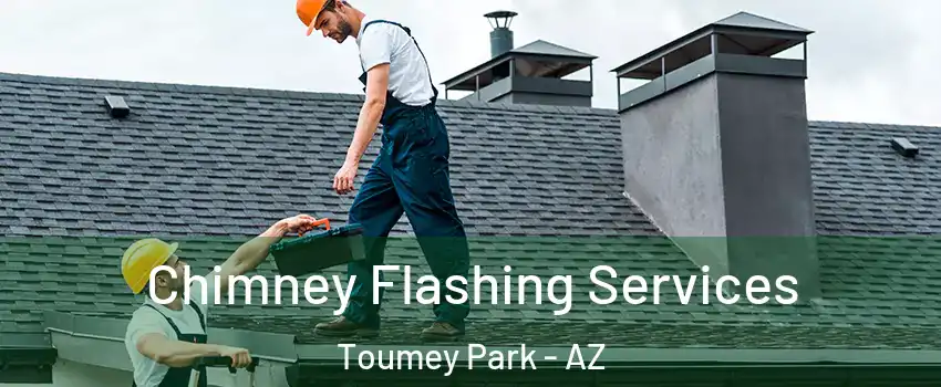 Chimney Flashing Services Toumey Park - AZ