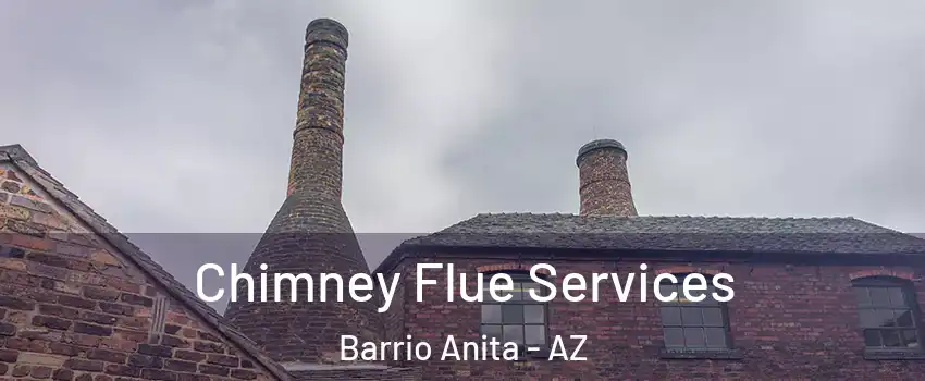 Chimney Flue Services Barrio Anita - AZ