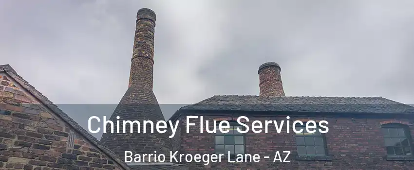 Chimney Flue Services Barrio Kroeger Lane - AZ
